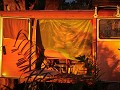 Brazil - 06292013 - Pantanal - DSC 0818-1