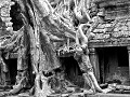 temples-of-angkor-0506134457