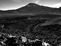 Chile - 04012012 - RN Malalcahuello - DSC 0516
