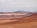 Chile - 04272012 - PN Pan de Azucar - DSC 0437