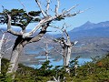 Chile - 03032013 - PN Torres Del Paine - DSC 0740