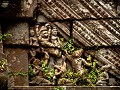 What Phu (Champasak)