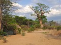 Liwonde National Park - Liwonde Safari Camp