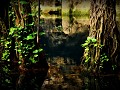 Cenote San Lorenzo Oxman (Yucatan)