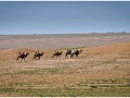 mongolie - 07142011 - tsagaan suvarga - dsc 5013