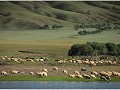 mongolie - 07312011 - khutag-ondor - dsc 1064