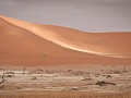 Namibia - 12132011 - Namib-Naukluft National Park 