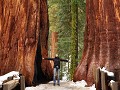 USA - 04282014 - California - Sequoia NP - DSC 000