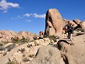 USA - 04052014 - California - Joshua Tree NP - DSC