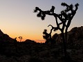 USA - 04052014 - California - Joshua Tree NP - IMG