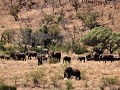 Zuid Afrika - 10062016 - Pilanesberg Nationaal Par