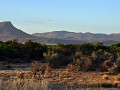 Zuid Afrika - 10232016 - Camdeboo Nat. Park - DSC 