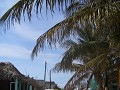 Island Holbox, nice sunny atmosphere, golf cars as