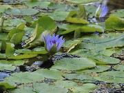 Anneleen Reisblog Profiel