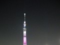 Tokyo Sky Tree by night - sakura theme