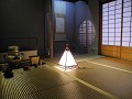 Tatami met bladgoud