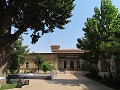 IMG 0134