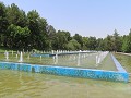 IMG 0339