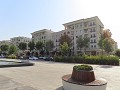 IMG 0353