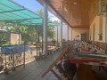 IMG 0350