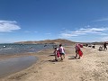 IMG 0359