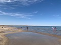 IMG 0362