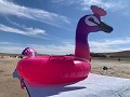 IMG 0361