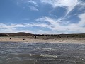 IMG 0373