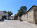 IMG 1065