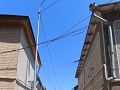 IMG 1066