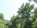 IMG 1069