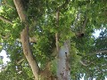 IMG 1089