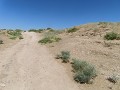 IMG 1191