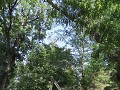 IMG 0493