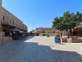 IMG 1650