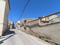 IMG 1734
