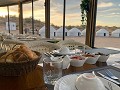 IMG 0382