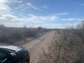 IMG 0386