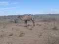 IMG 0387