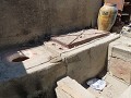 IMG 1296