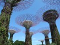 Supertrees