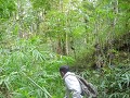 Doe-het-zelf in de jungle: Padi maakt wandelstokke