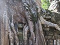 angkr wat32
