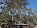 angkr wat62