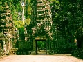 angkr wat244