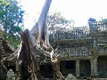 angkr wat245
