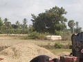 rana hs R61