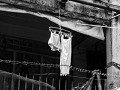manila-23