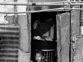 manila-29