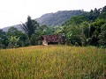 cianjur1-65